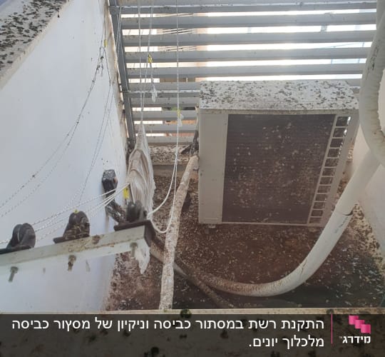 מזגן מלוכלך בלשלשת יונים על מרפסת